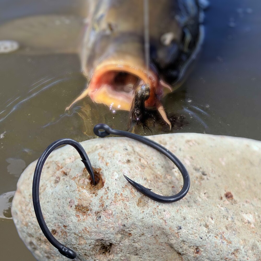 Hirisi Carp Fishing Hooks 50pc - đánh giá và giá Fishing Hook Barbless